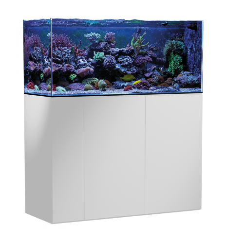 Aquarium Armatus 400