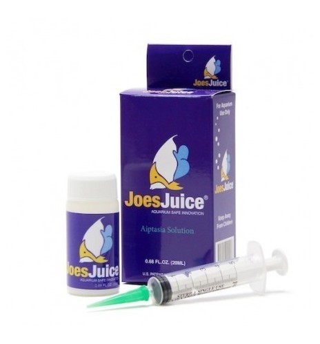 JOES JUICE - 20 ml - anti aiptasia