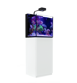 Aquarium Red Sea Max Nano Cube + meuble