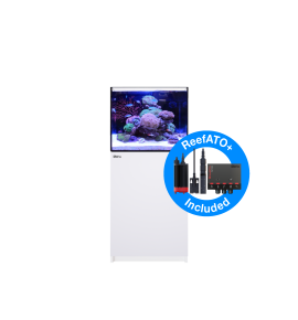 Aquarium Red Sea Reefer 170 G2+