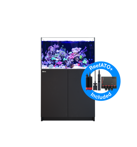 Aquarium Red Sea Reefer 300 G2+