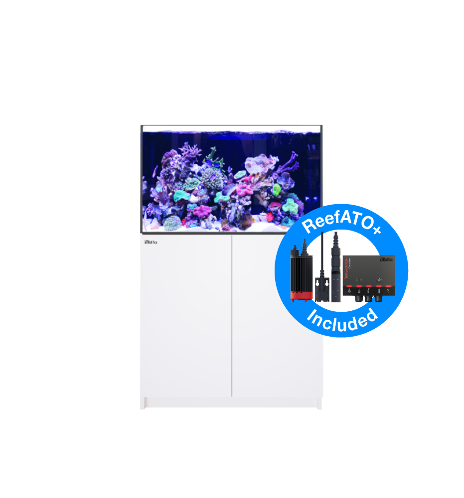 Aquarium Red Sea Reefer 300 G2+