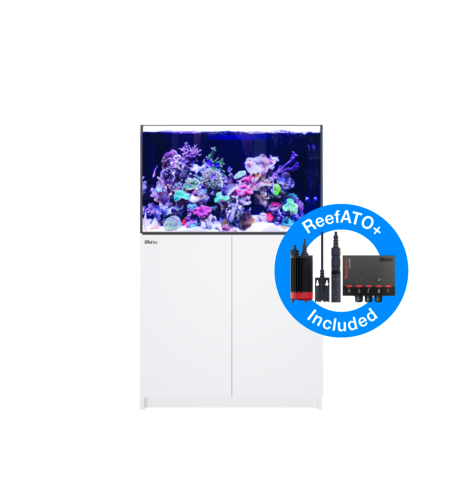 Aquarium Red Sea Reefer 300 G2+