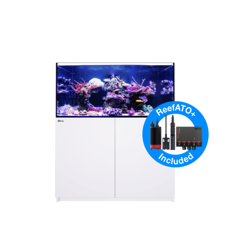 Aquarium Red Sea Reefer 350 G2+