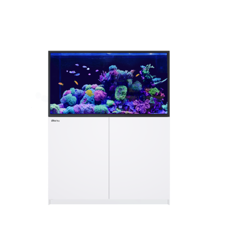 Aquarium Red Sea Reefer S 550 G2+ Deluxe