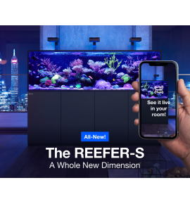 Aquarium Red Sea Reefer S 1000 G2+ Deluxe