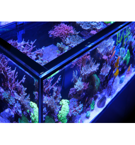 Aquarium Red Sea Reefer S 1000 G2+ Deluxe