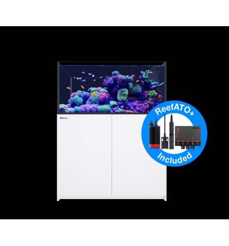 Aquarium Red Sea Reefer Peninsula 500 G2+ Deluxe (avec Reefled 90)