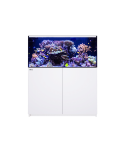 Aquarium Red Sea Reefer Max 425 G2+