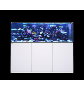 Aquarium Red Sea Reefer Max 750 G2+