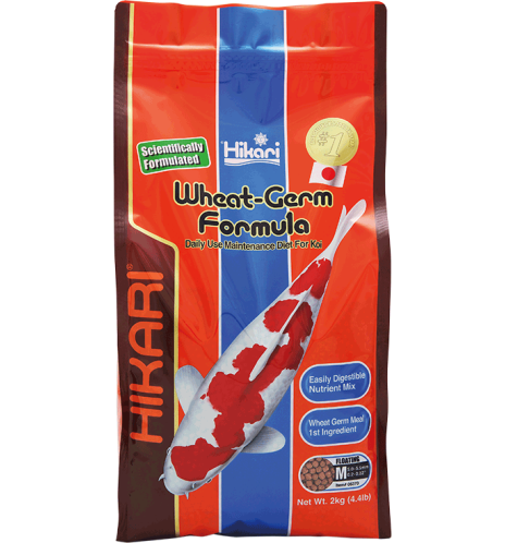 Hikari Wheat germ medium 2kgs