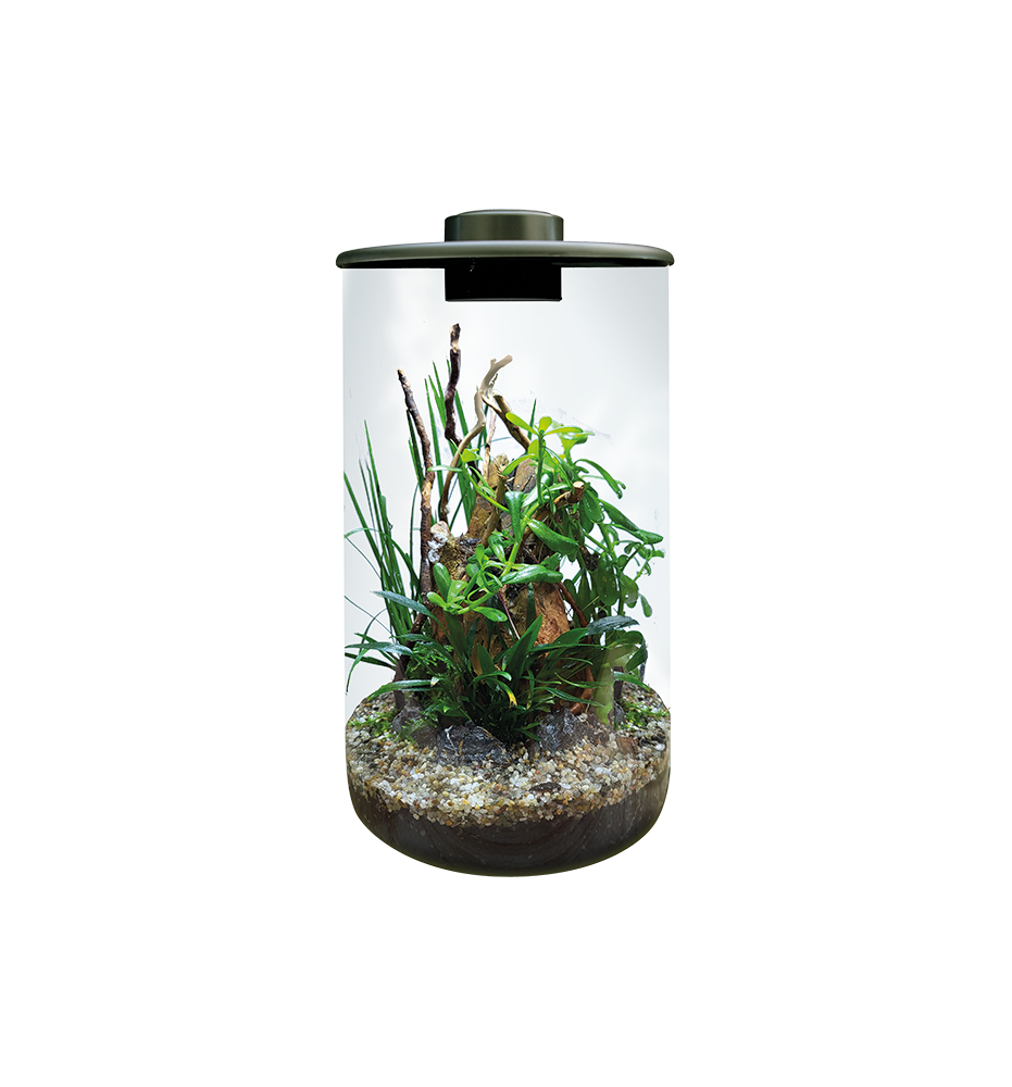 BioArt Cylinder 285